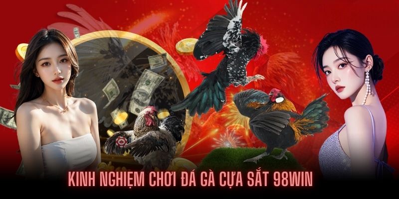 Mẹo chơi chọi kê cược nhanh thắng lớn tại 98Win